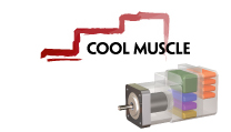 coolmuscle.jpg